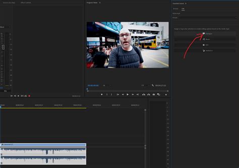 how to remove background music in premiere pro and why is it important to have a clear audio track for your video?