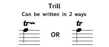 Trill Music Definition: When Birds and Bach Collide in a Symphony of Chaos