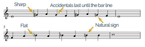 What are Accidentals in Music? And How They Transform the Very Fabric of Musical Expression