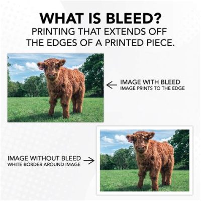 what is print bleed and the role of color in visual communication